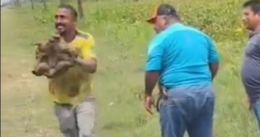 Tortuga en video podría incriminar a volqueteros Guayaquil – La Voz del Altiplano