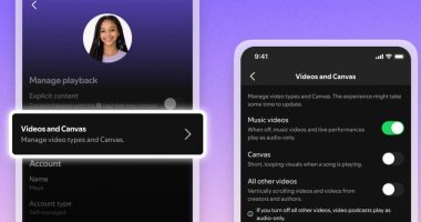 Spotify lanza nuevos controles de vídeo para sus usuarios – La Voz del Altiplano