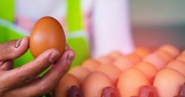 Ecuador inicia exportación de huevos a Emiratos – La Voz del Altiplano