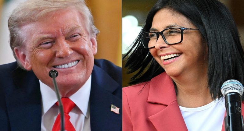 Oposición venezolana pide convocar elecciones ante «ausencia absoluta» de Maduro – La Voz del Altiplano