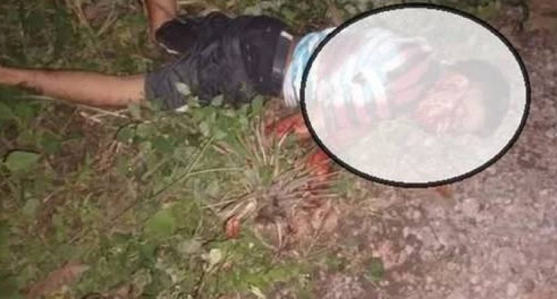 Misterioso crimen en La Concordia – La Voz del Altiplano