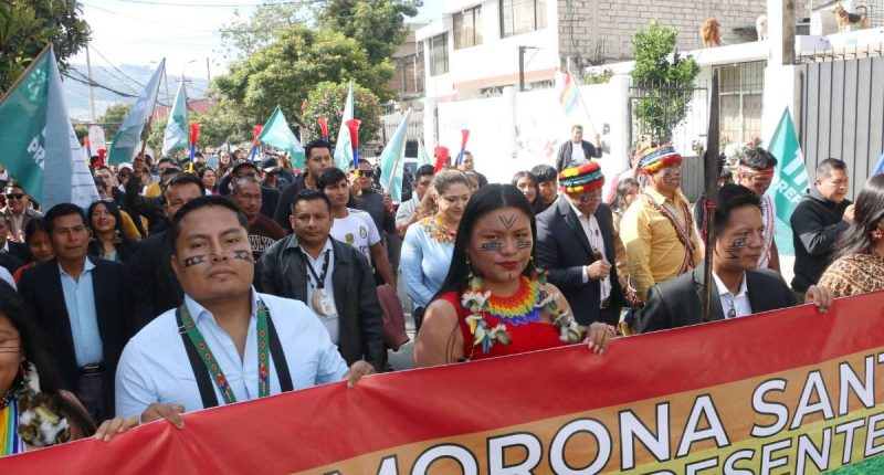 Pachakutik rechaza alza de los combustibles, ¿habrá paro? – La Voz del Altiplano