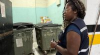 Quito refuerza controles sanitarios en la av. República de El Salvador por presencia de roedores – La Voz del Altiplano