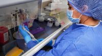 Hantavirus: Ecuador mantiene vigilancia epidemiológica y descarta casos hasta la fecha – La Voz del Altiplano