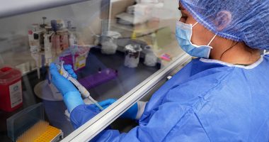 Hantavirus: Ecuador mantiene vigilancia epidemiológica y descarta casos hasta la fecha – La Voz del Altiplano