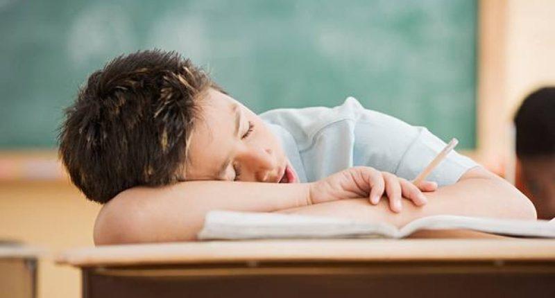 Ajusta el sueño de tu hijo y evita mañanas caóticas – La Voz del Altiplano