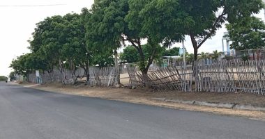 Autogestión y Seguridad Infantil en UE Gregorio Marañón – La Voz del Altiplano