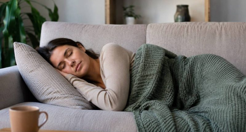 Siesta 20 minutos: Solución a problemas según investigadores – La Voz del Altiplano