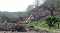 Deforestación en La Tomatera amenaza reserva de Portoviejo – La Voz del Altiplano