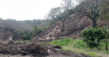Deforestación en La Tomatera amenaza reserva de Portoviejo – La Voz del Altiplano