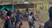 Tragedia en Cauca: Conflicto deja 6 Muertos y 100 Heridos – La Voz del Altiplano