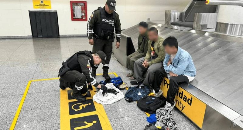 Prisión preventiva a tres extranjeros por tráfico de iguanas – La Voz del Altiplano