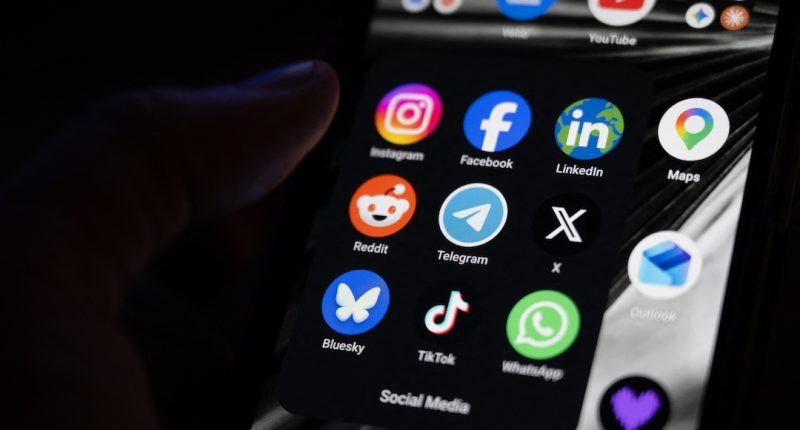 Nicaragüense administraba desde WhatsApp una red internacional de pornografía infantil – La Voz del Altiplano