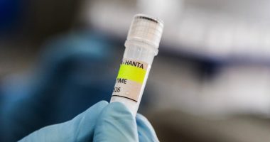 Washington anuncia evacuación aérea de estadounidenses a bordo del crucero afectado por hantavirus – La Voz del Altiplano