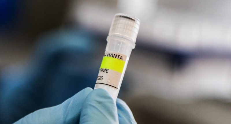 Washington anuncia evacuación aérea de estadounidenses a bordo del crucero afectado por hantavirus – La Voz del Altiplano