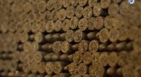Nicaragua, el mejor país del mundo fabricando este producto de lujo – La Voz del Altiplano