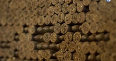 Nicaragua, el mejor país del mundo fabricando este producto de lujo – La Voz del Altiplano