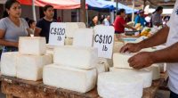 En Nicaragua es más barato comer pollo que comer queso – La Voz del Altiplano