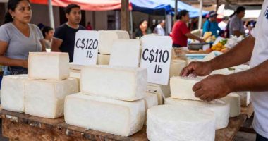 En Nicaragua es más barato comer pollo que comer queso – La Voz del Altiplano