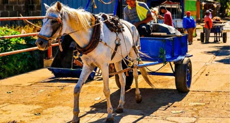 ¡No son los carretoneros! Alcaldía acusa a empresas de ensuciar más la ciudad – La Voz del Altiplano