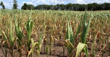 El fenómeno que impactará Nicaragua entre mayo y julio y afectará la economía – La Voz del Altiplano